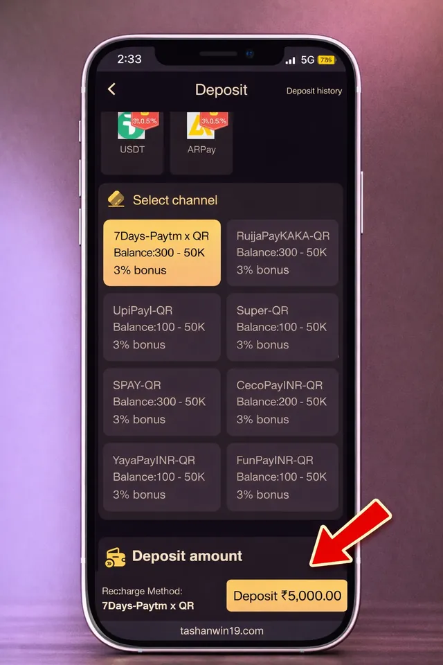 Big Mumbai deposit screen showing payment channel options
